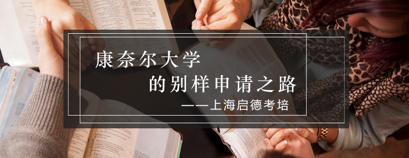 名校申请规划案例