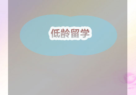 低龄留学规划深度解析