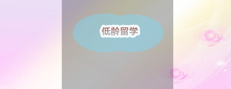 国际教育规划分析