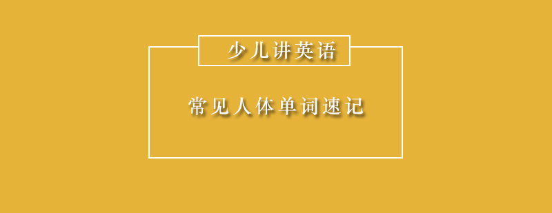 英語詞匯記憶圖譜