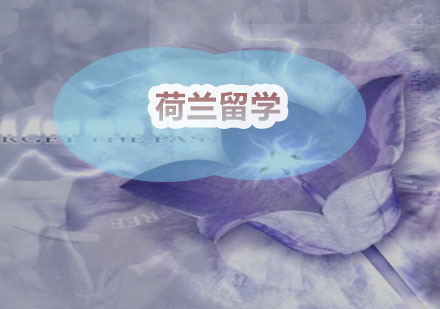 荷兰高等教育择校指南：研究型与应用型大学深度解析