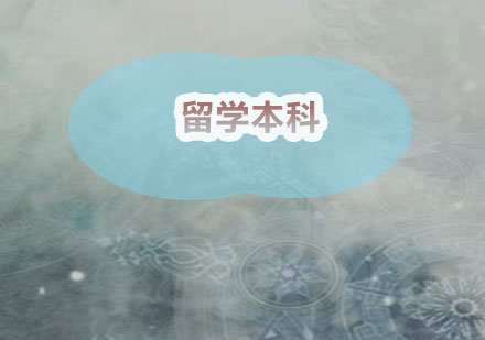 美国本科择校指南：三大核心要素深度解析