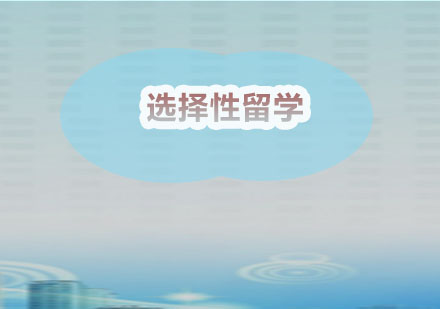郑州新通外语学校深度解析：国内升学与海外留学路径对比