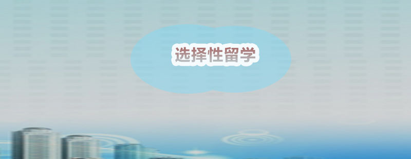 教育路径对比分析