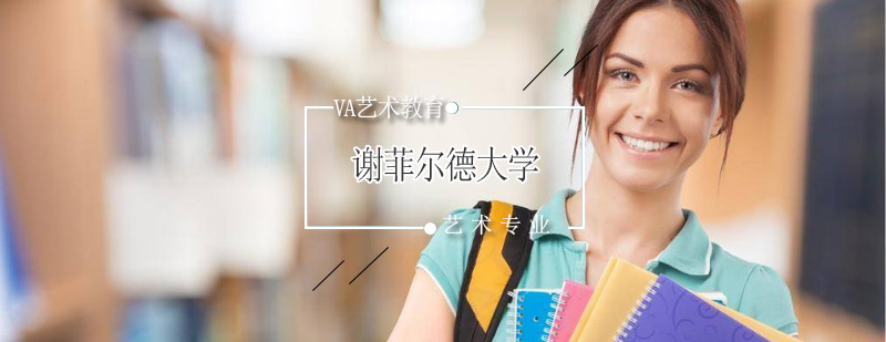 谢菲尔德大学主校区