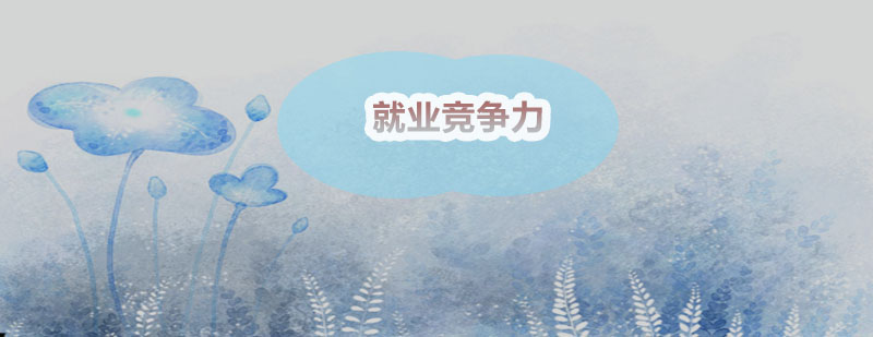 职场竞争力分析