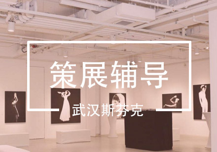 武汉斯芬克策展辅导班