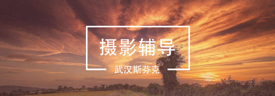 摄影实践教学场景