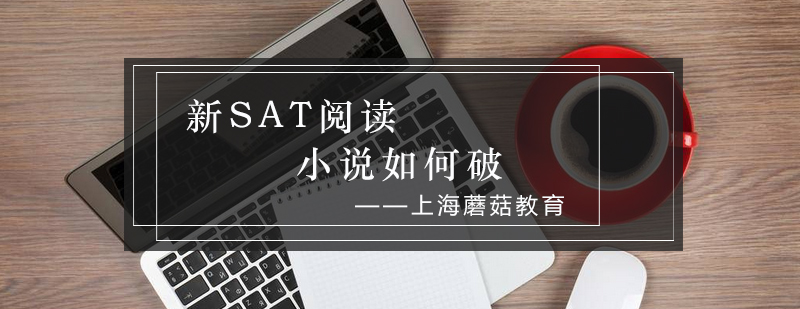SAT小说解析示意图