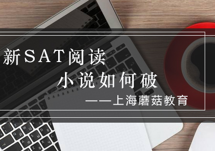 新SAT小说阅读深度解析与实战技巧