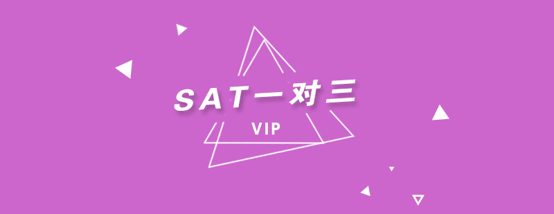 SAT小组教学实景