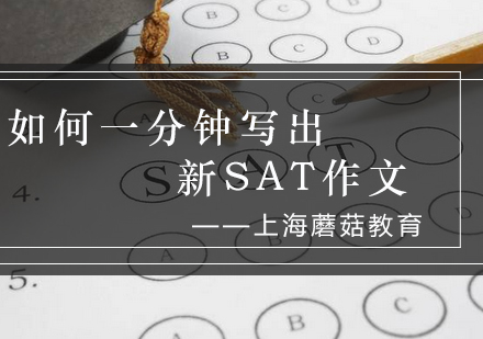 新SAT写作高效突破技巧解析