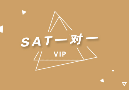 SAT考试VIP一对一培训班