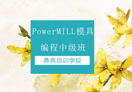 PowerMILL模具编程中级班