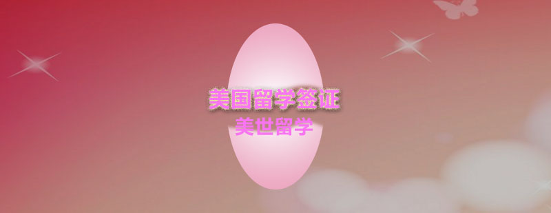 签证办理流程示意图