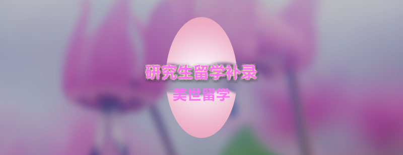 美国研究生补录项目图示
