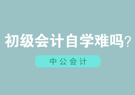 初级会计备考攻略深度解析