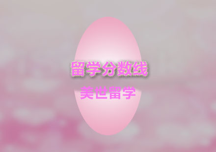 芝加哥大学录取标准深度解析