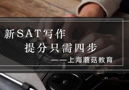 SAT写作高效提分四步策略解析