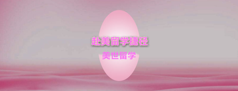 竞赛进阶路径图示