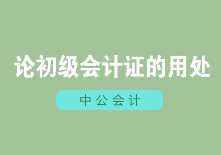 初级会计证职业价值深度剖析