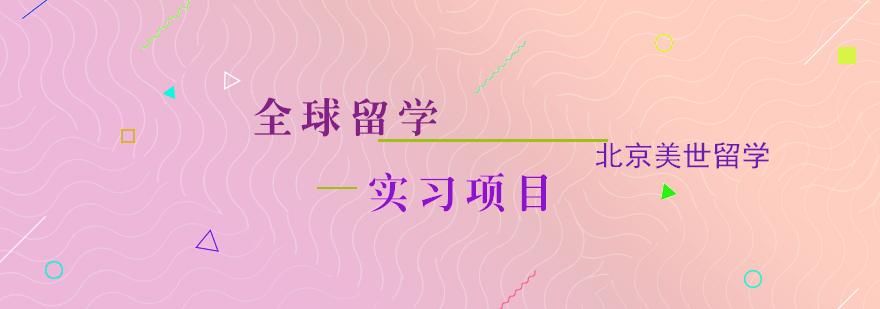 全球留学实习项目