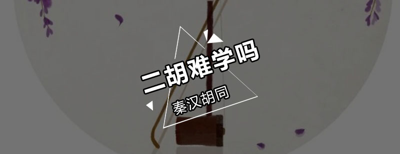 二胡演奏姿势示范