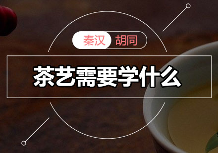 茶艺需要学什么？