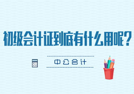 初级会计证书价值深度解析与职业发展路径