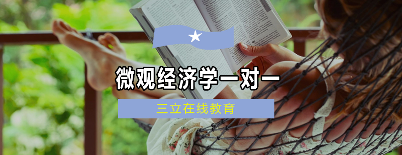 AP经济学辅导