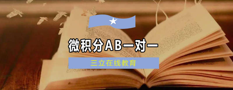 AP微积分AB个性化教学