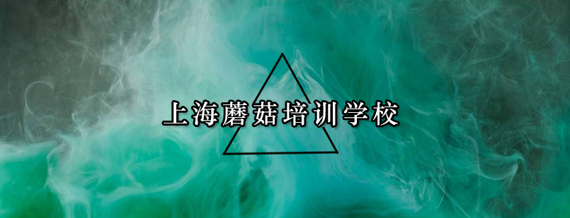 蘑菇教育校区环境