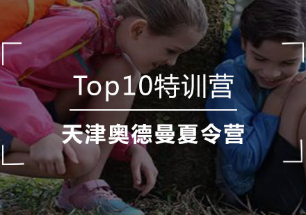 Top10特训营