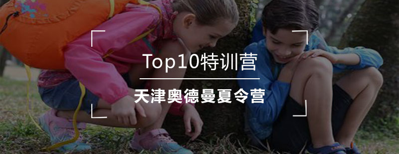 Top10特训营