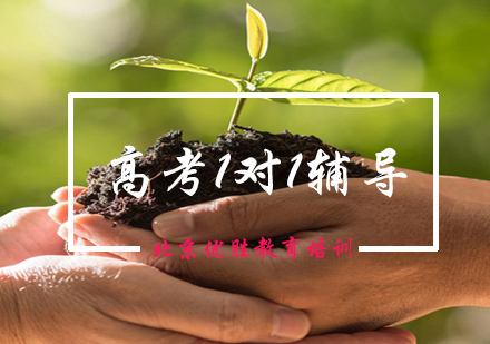 高考1对1个性化辅导课程