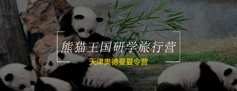 成都大熊猫研学营