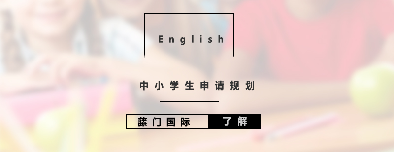 青少年國際教育規(guī)劃