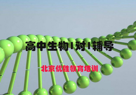 高中生物1对1定制课程