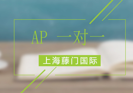 AP定制化教學(xué)課程深度解析