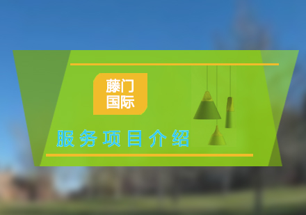 上海藤校申請全維度服務(wù)體系解析