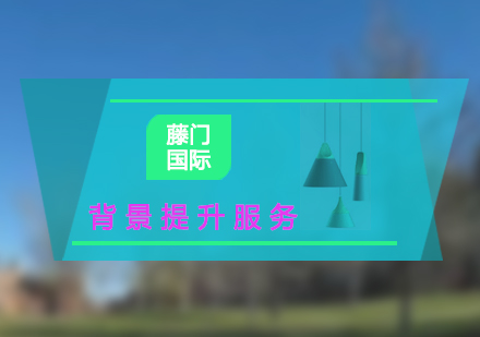 上海藤門國際背景提升項目深度解析
