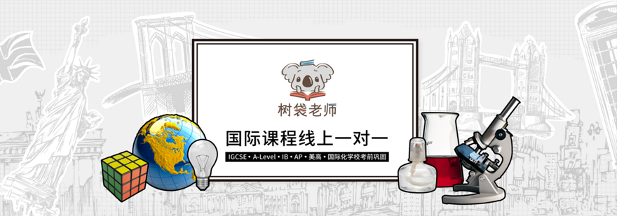 国际课程辅导流程