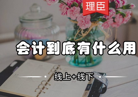 初级会计职业发展核心价值解析