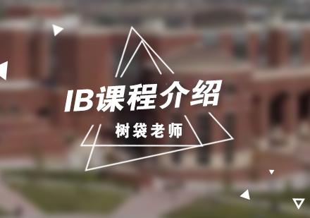 國際文憑課程深度解析