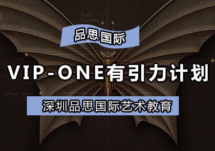 深圳VIP-ONE有引力计划培训班