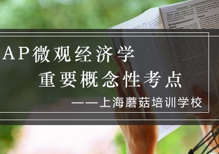 AP微观经济学核心考点深度剖析