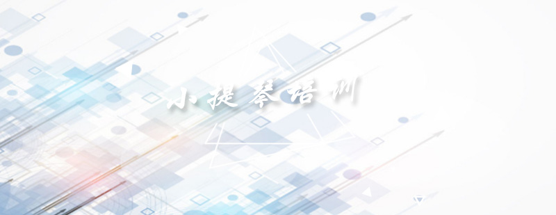 小提琴教学实景