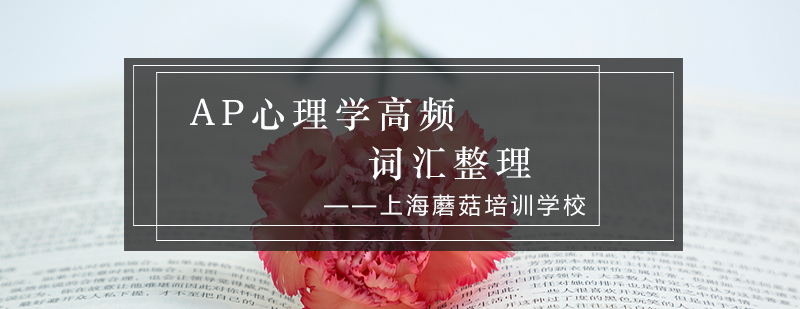 神经递质作用示意图