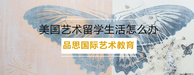 美国艺术院校支持系统