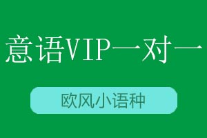 青岛欧风小语种意大利语VIP一对一课程